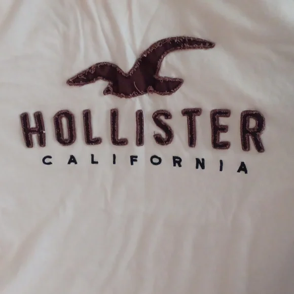 Hollister White Tee with Dark Logo and Seagull - Picture 3 of 4